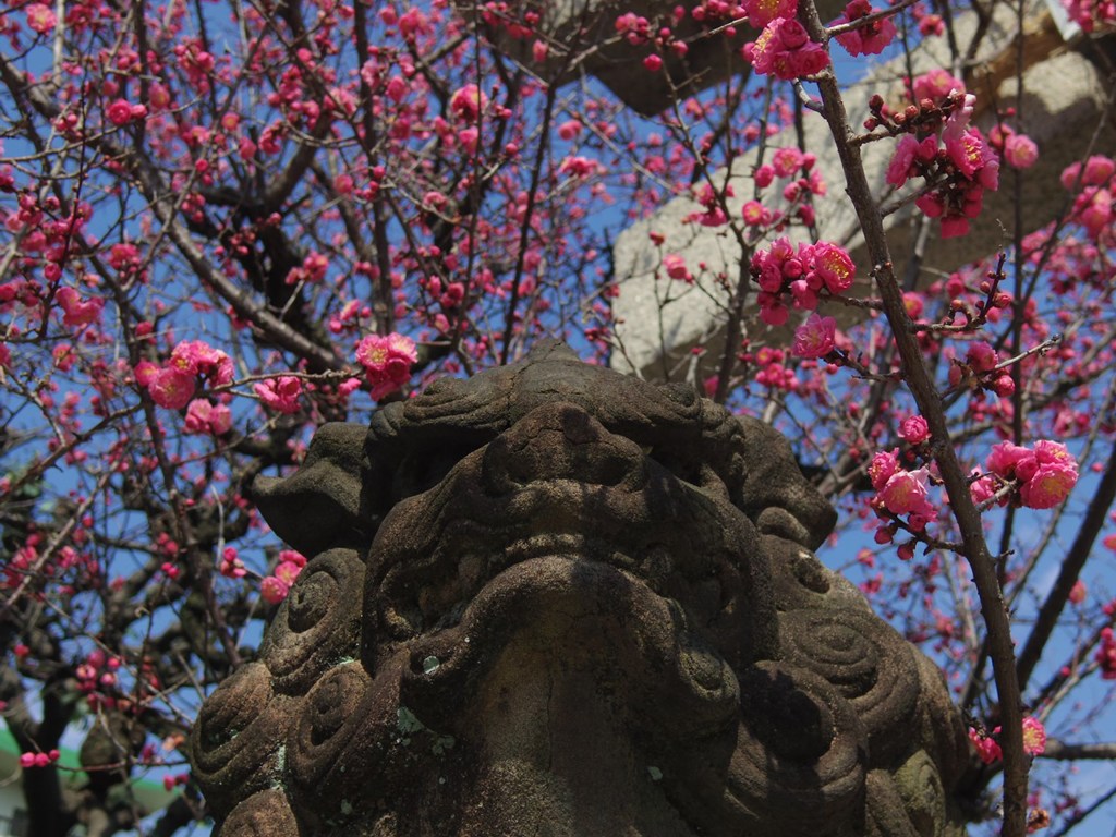 花護る狗