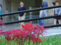 嵐電四条大宮駅前