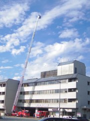 伸び～る