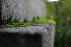 Macroの天地