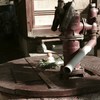 井戸端の迎春