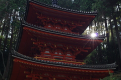 塔に差す日