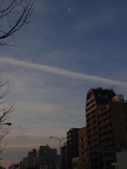 暁月