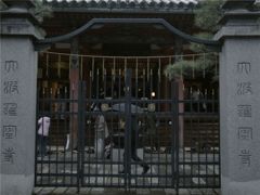 師走の雨 #2