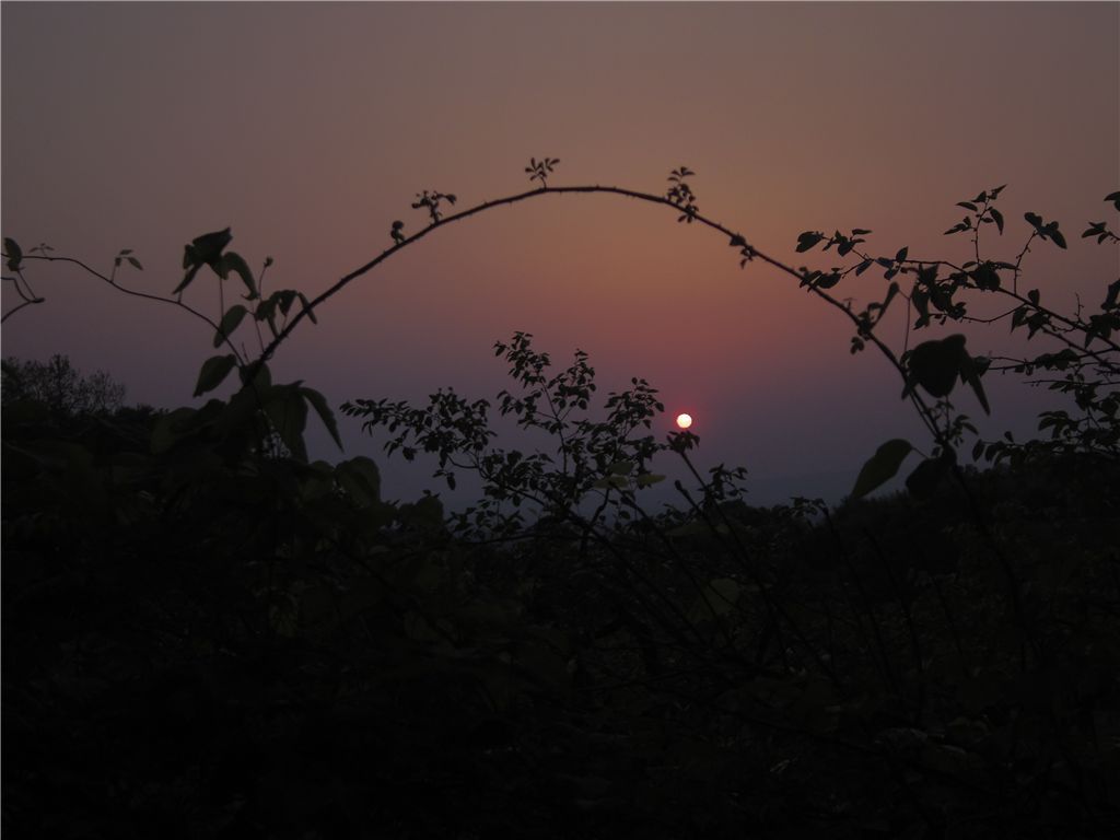 Arch