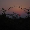 Arch