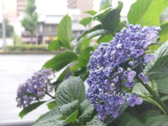 待つや久し