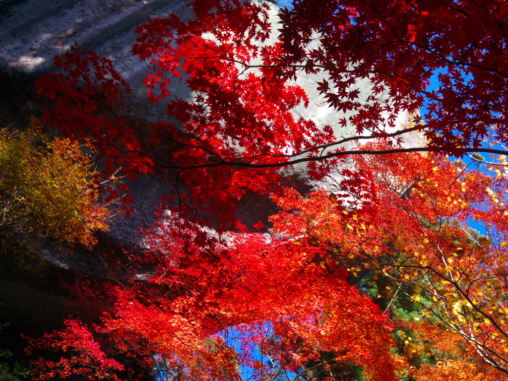 笠置山＃02