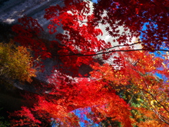 笠置山＃02