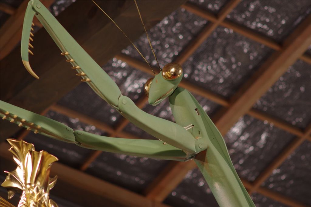 Green Mantis
