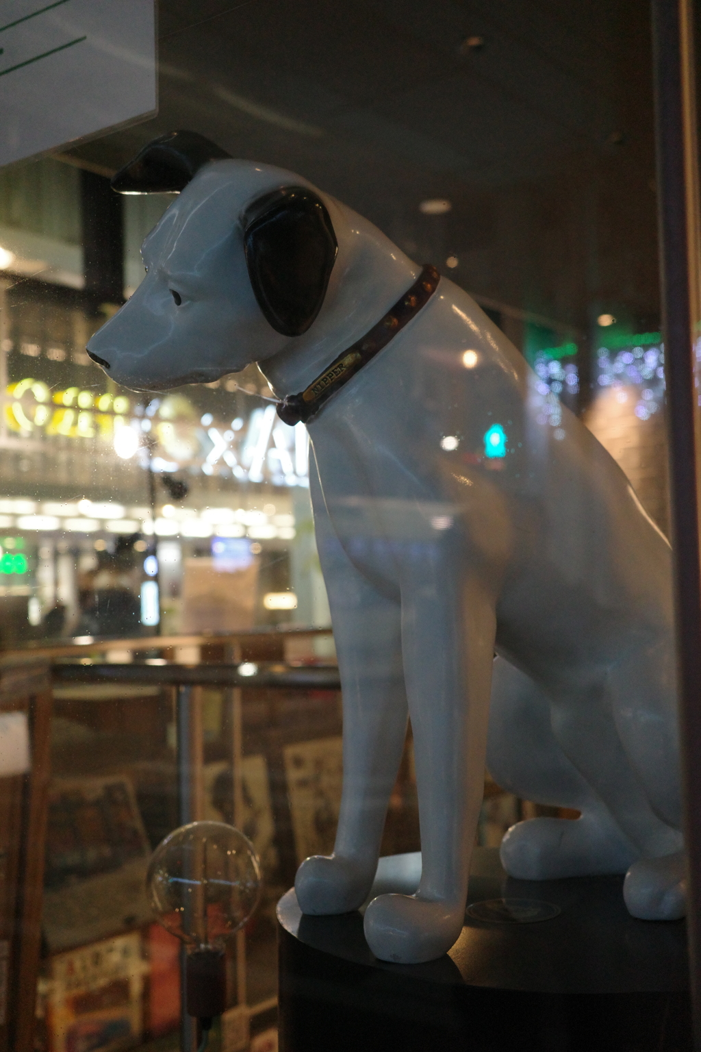 例の犬