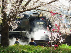 さくら蒸気