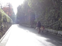 光ル道