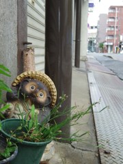 降ってる？