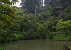 雨　浄瑠璃寺三重塔