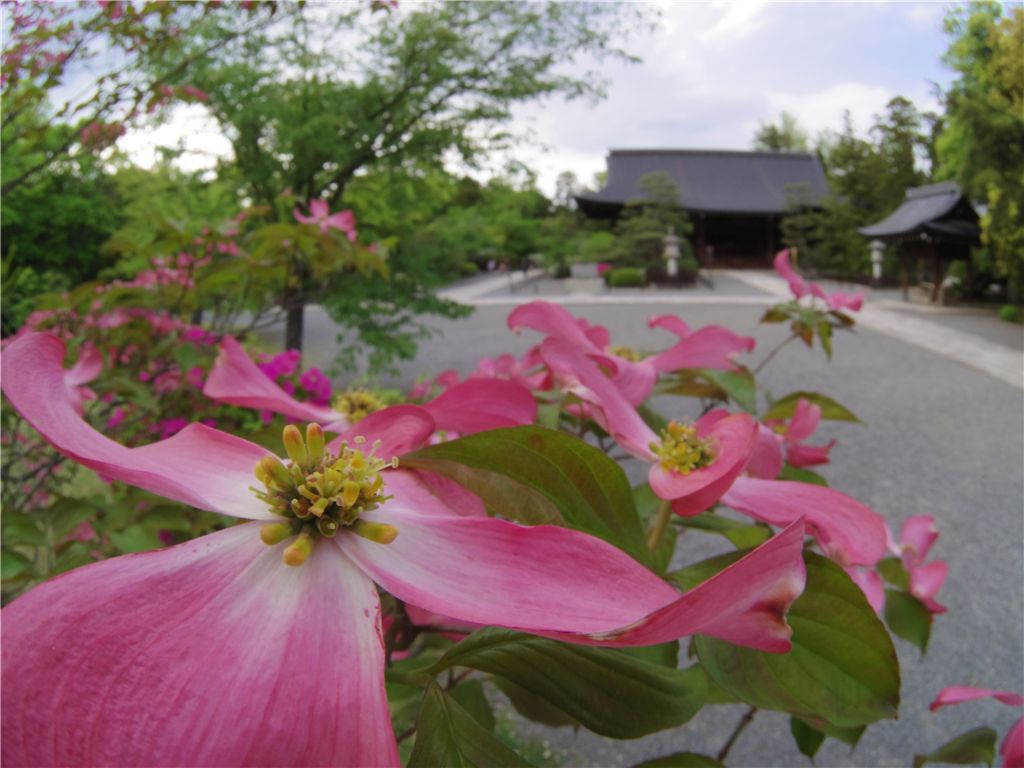 あめりか国より