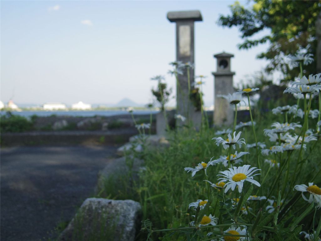 堅田 #3