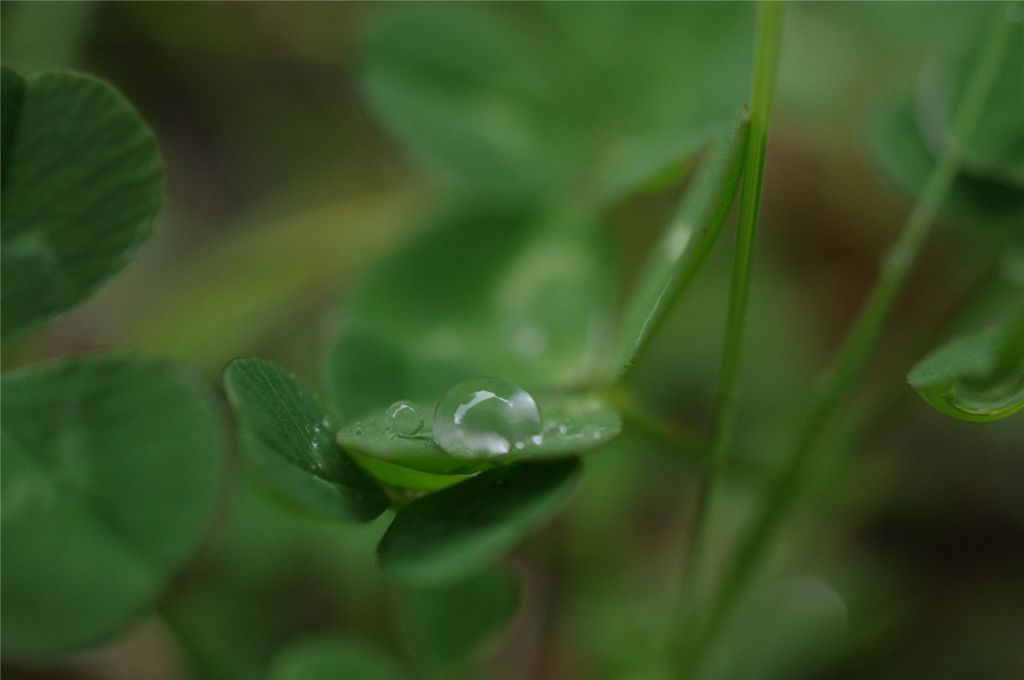 rain drop#2