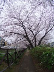 通り抜け♪