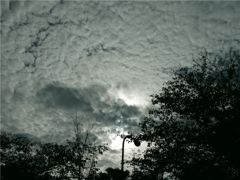 雲