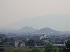 春霞 #2