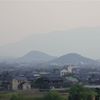 春霞 #2