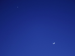 月とVenus