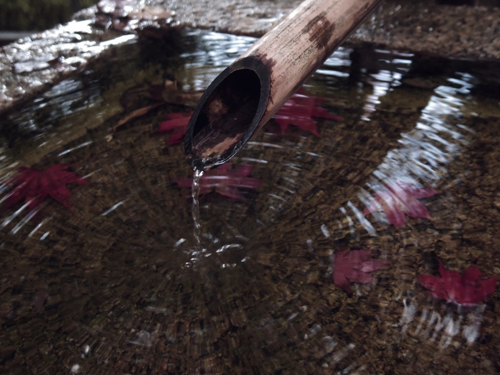 波紋