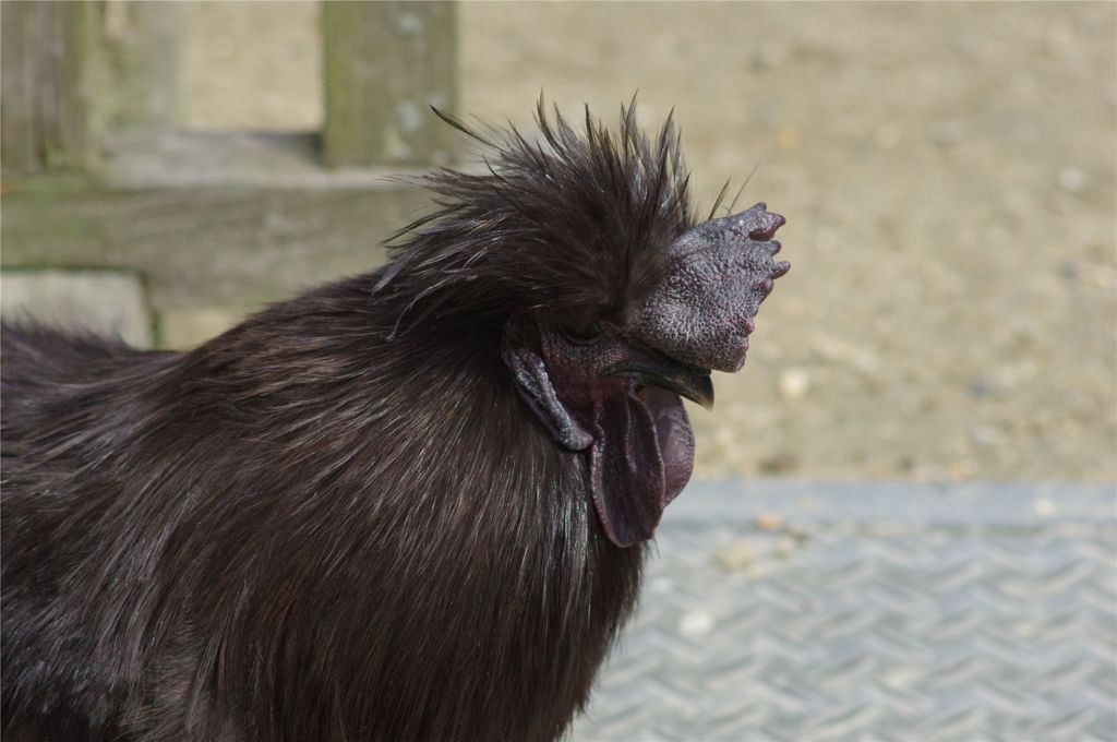 前見えないんだヨ・・・