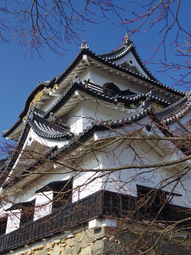 彦根城