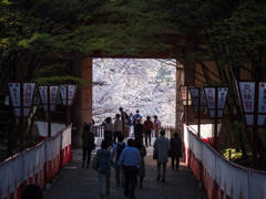 桜の苑へ