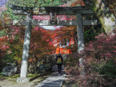 弁天さまの紅