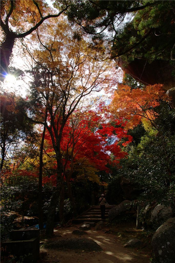 笠置山＃03
