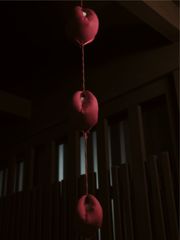 くくってある