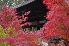 円成寺扁額