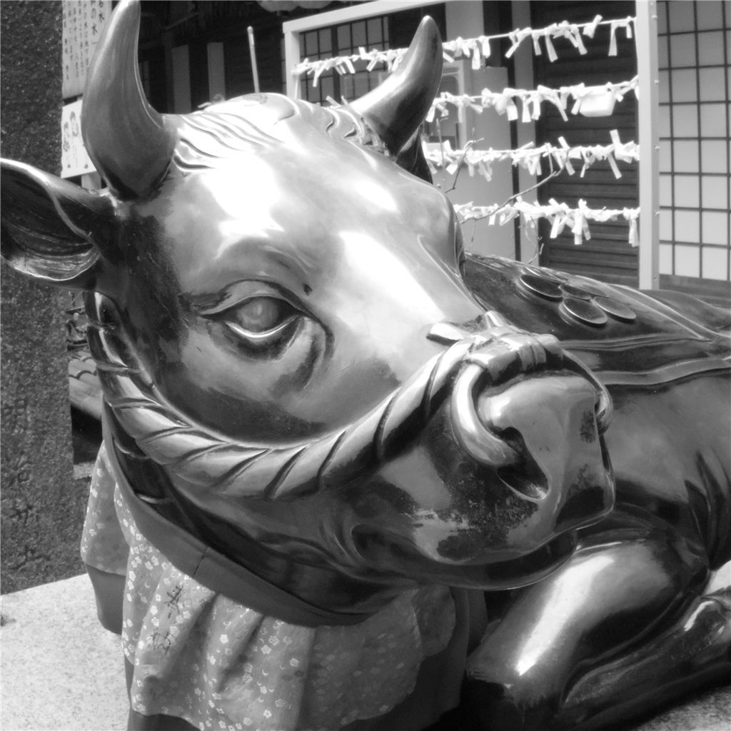 うもぅ