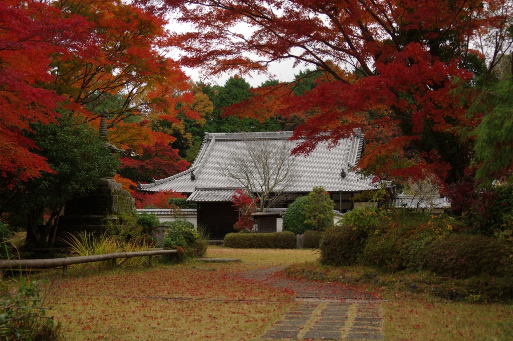 芳徳禅寺