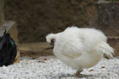 何見てんのサ