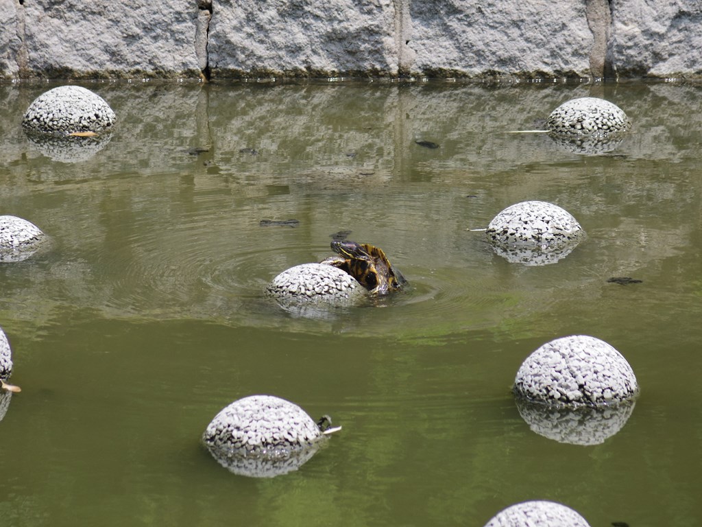 のそり