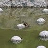 のそり