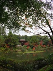 円成寺・浄土式庭園