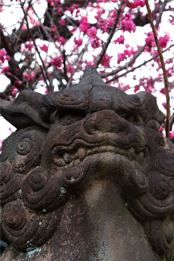 コワモテ