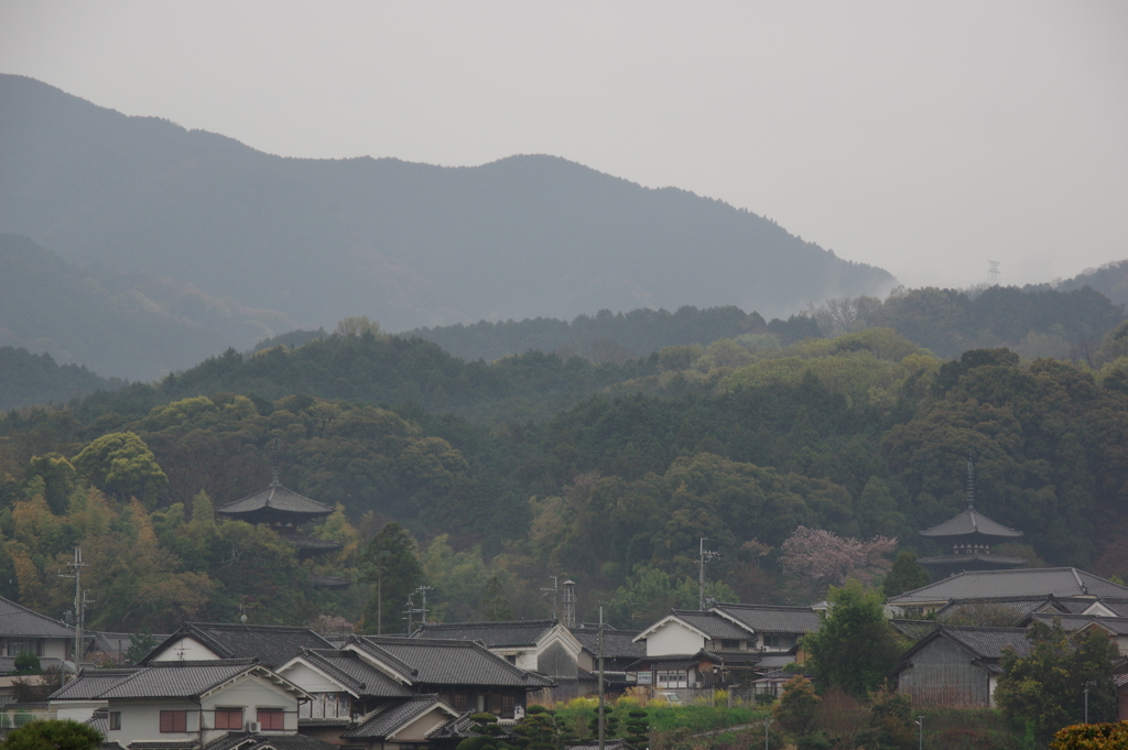 煙雨双塔