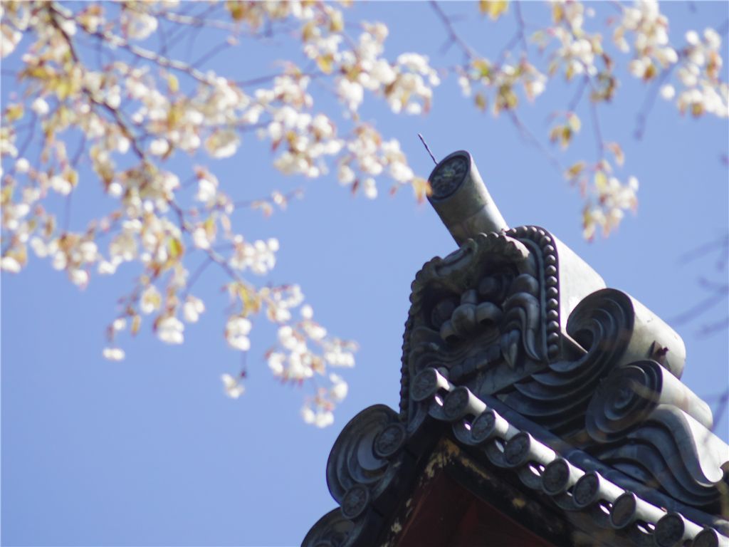 絶景絶景