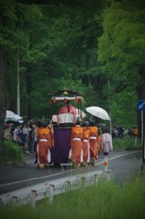 今日は葵祭