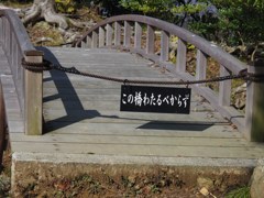 頓智