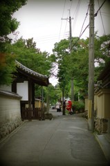 奈良市高畑界隈 #1