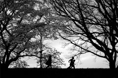 Passing Pictures #2