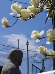雲に紛う