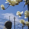 雲に紛う